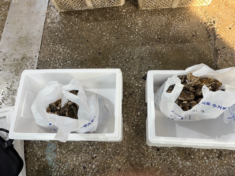 여수시, 안전하고 투명한 수산물 공급...