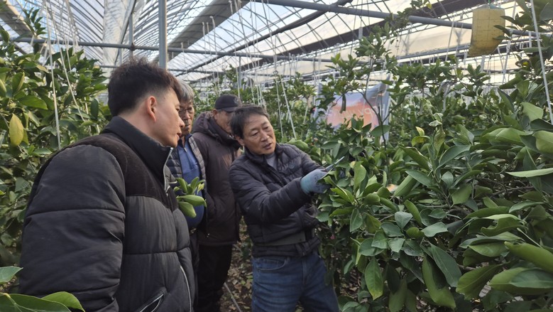 기후 위기를 ‘기회’로 바꾸는 대구 ...