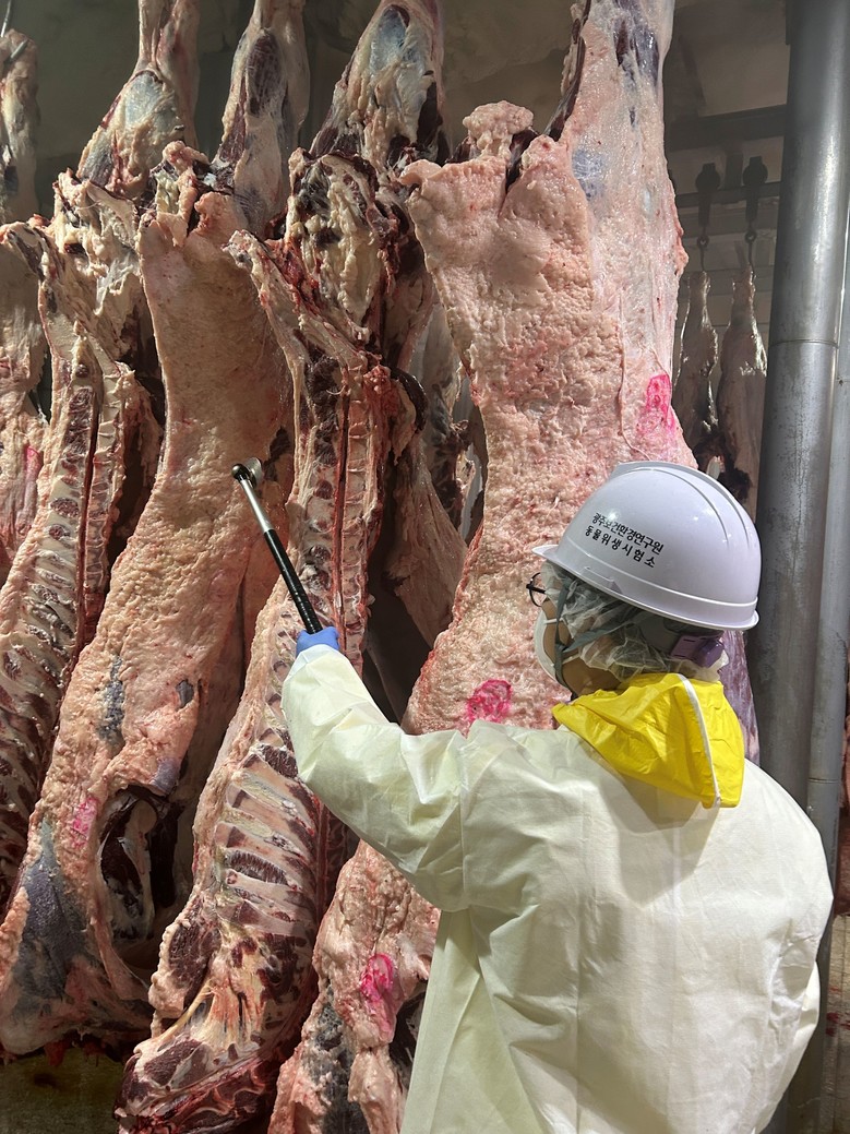 광주시, 설 대비 도축장 축산물 특별...