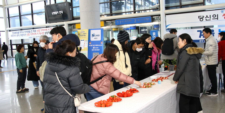 한입에 반하다! 경북 딸기 신품종 ‘...