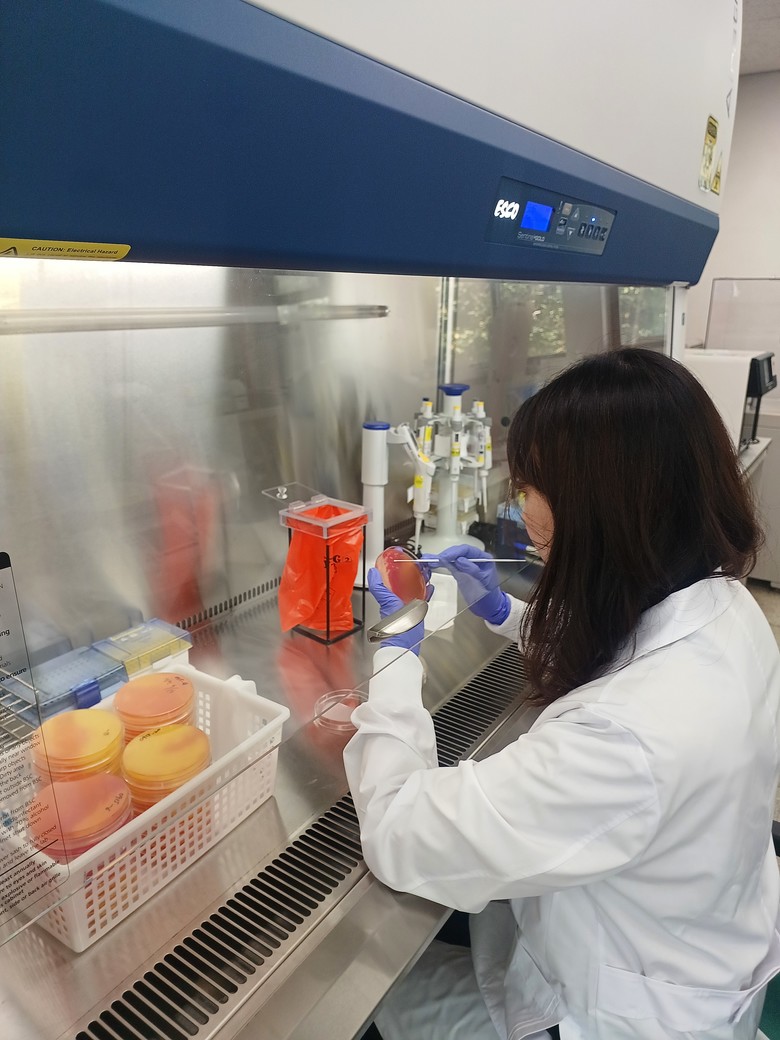 “설 차례상 걱정 없이 준비하세요” ...