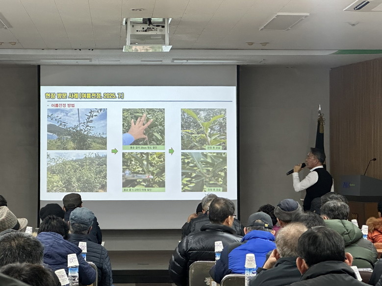 고흥군, 겨울철 유자 동해예방 기술지...
